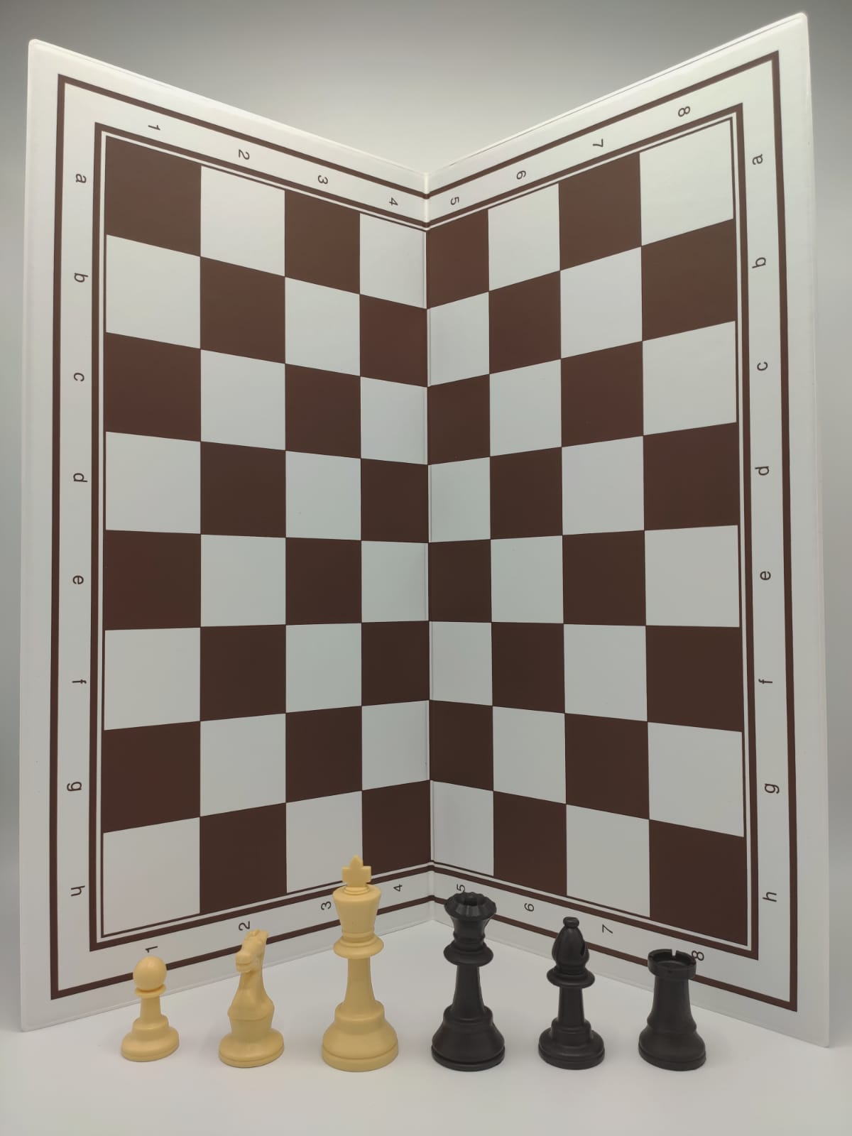 Complete schaakset voor beginners - Schaak en Gowinkel het Paard Spellen en Puzzels sinds 1987